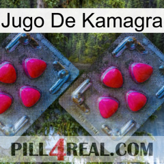 Kamagra Juice 14